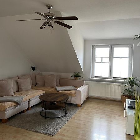 Bambus, Jungle, Dachterrasse & Bequem Bis Zentrum Radebeul Ngoại thất bức ảnh