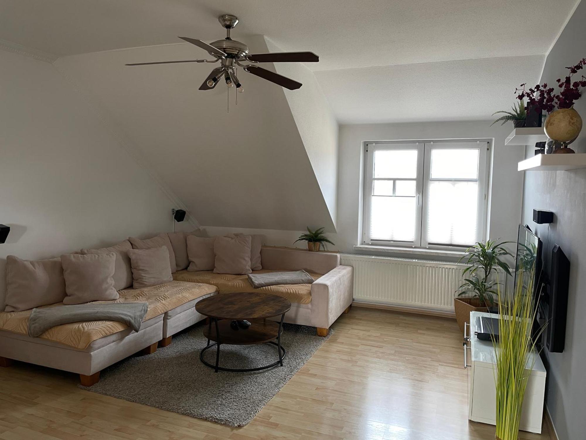 Bambus, Jungle, Dachterrasse & Bequem Bis Zentrum Radebeul Ngoại thất bức ảnh